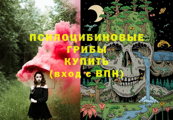 СК Сатка