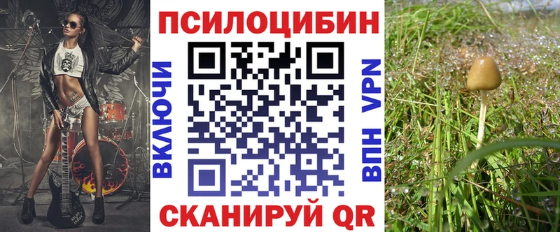 Псилоцибиновые грибы Psilocybine cubensis  Закаменск 
